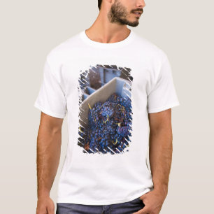 Bodega Marques de Riscal T-Shirt