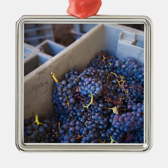 Bodega Marques de Riscal Weingut, Trauben Ornament Aus Metall (Vorne)