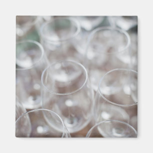 Bodega Marques de Riscal Weingut, Weinprobe Magnet