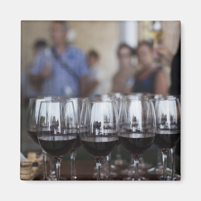 Bodega Marques de Riscal Weingut, Weinprobe Magnet (Vorne)