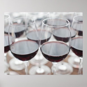 Bodega Marques de Riscal Weingut, Weinprobe Poster