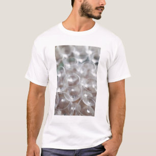 Bodega Marques de Riscal Weingut, Weinprobe T-Shirt