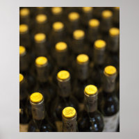 Bodega Marques de Riscal Weinkellerei, Weinflasche
