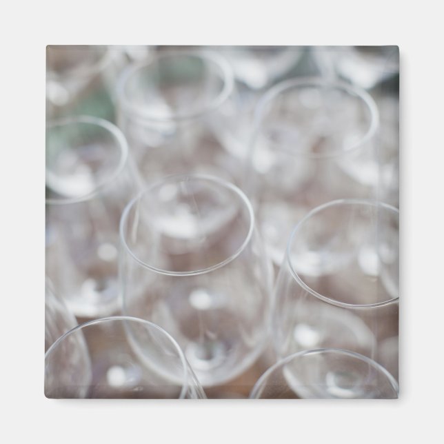 Bodega Marques de Riscal Weinkellerei, Weinprobe Magnet (Vorne)