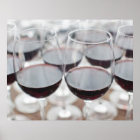 Bodega Marques de Riscal Weinkellerei, Weinprobe