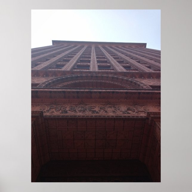 Bodenansicht des Guaranty Building Poster (Vorne)