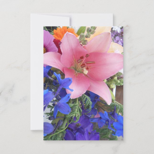 Bodichon (Vorderseite)