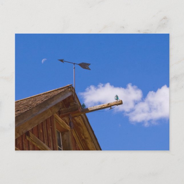 Bodie Ghost Town Point The Way Postcard Postkarte (Vorderseite)