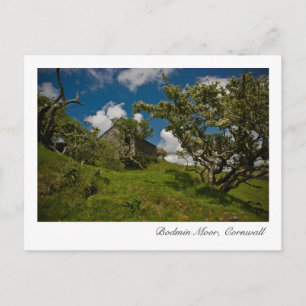 Bodmin Moor, Cornwall Postcard Postkarte