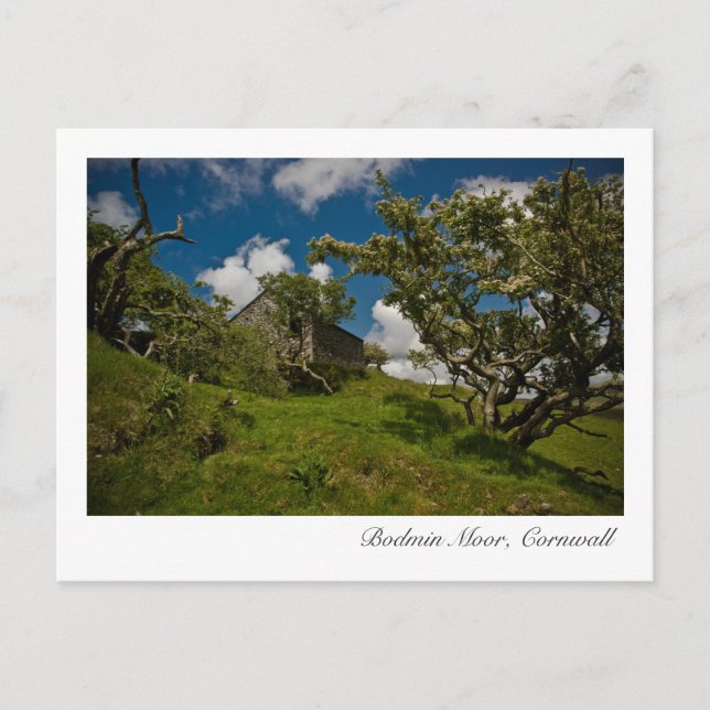 Bodmin Moor, Cornwall Postcard Postkarte (Vorderseite)