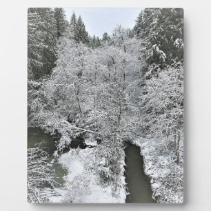 Boeckman Creek im Winter Fotoplatte