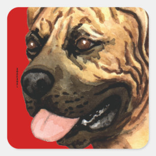 Boerboel-Farbblock Quadratischer Aufkleber