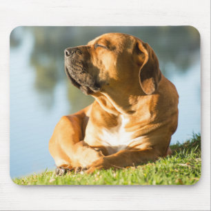 Boerboel Gel Mouse Pad Mousepad