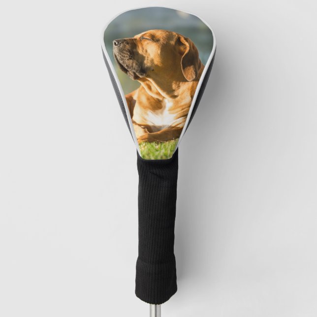 Boerboel Golf Head Cover Golf Headcover (Vorderseite)