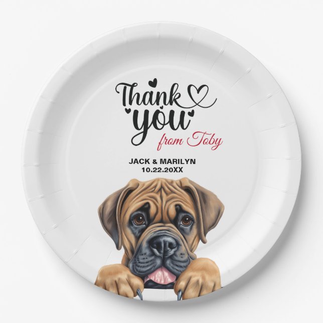 Boerboel-Hund Pappteller (Vorderseite)