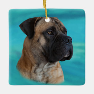 Boerboel - südafrikanischer Mastiff Keramikornament
