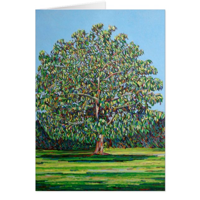 Bogen-Baum-Sommer (Vorne)