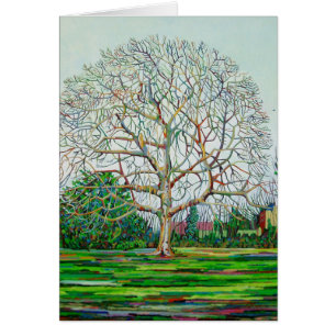 Bogen-Baum-Winter