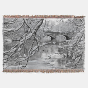 Bogen-Brücke über gefrorenem Fluss im Winter Decke