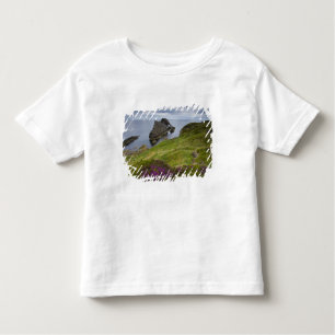 Bogen-Geigen-Felsen, Portknockie, Schottland Kleinkind T-shirt