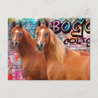 BOGO Colts - Graffiti Post Card - Arabische Pferde