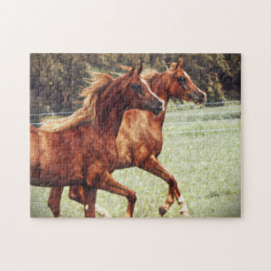 BOGO Colts künstlerisches Puzzlespiel Puzzle