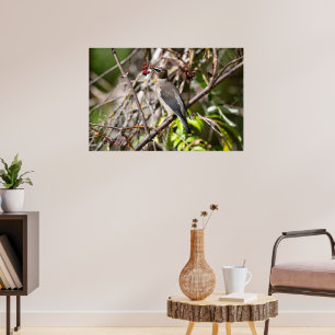 Bohemische Flügel, kanadisches Avian Poster