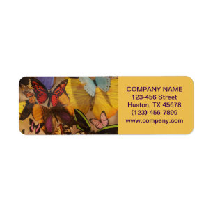 Bohemischer Schmetterling Yoga Zen Holistic Healin