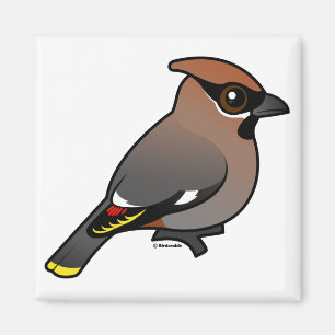Bohemischer Waxwing Magnet