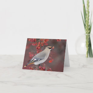 Bohemischer Waxwing Notecards Karte