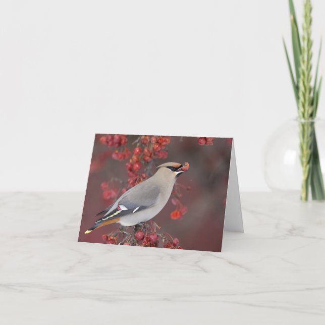 Bohemischer Waxwing Notecards Karte (Vorderseite)
