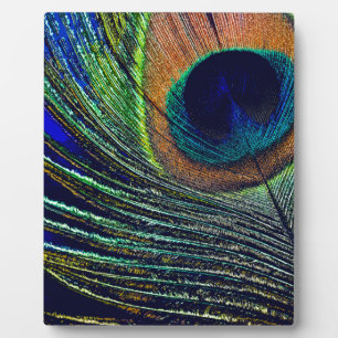 Bohemisches Friedensgefühl Fotoplatte