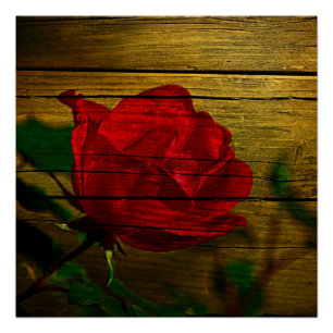 Bohemisches Scheunenholz Valentinstag Rote Rose Poster
