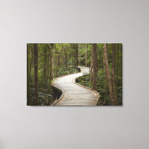 Bohlenweg zu Nelson Falls, Franklin - Gordon Leinwanddruck
