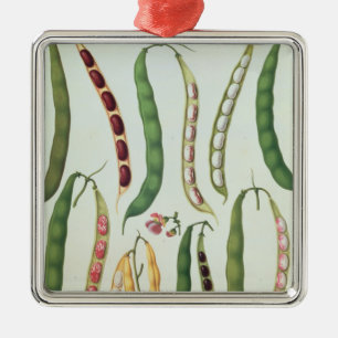 Bohnen Silbernes Ornament