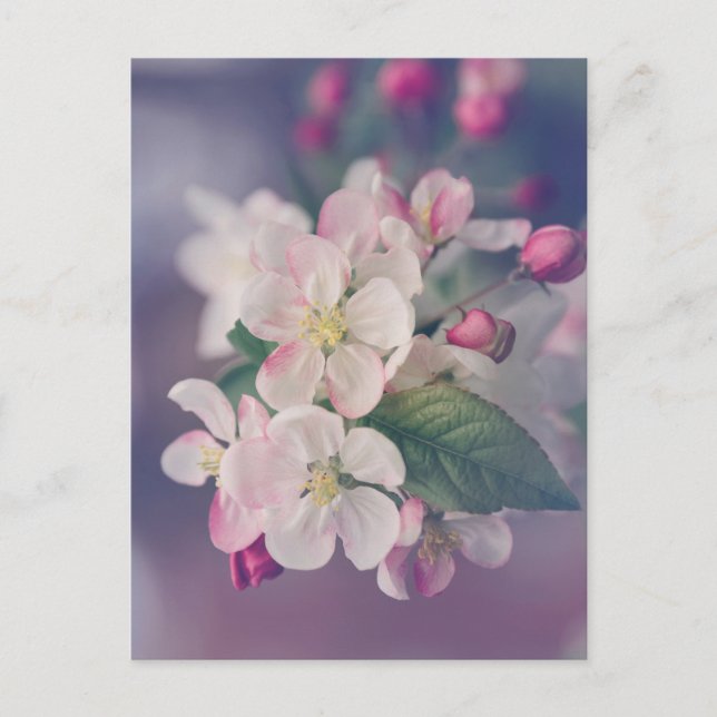 Boho Ästhetische Postkarte 018 (Vorderseite)