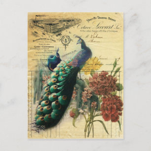 boho blumenfranzösisches Land moderner Vintager Pf Postkarte