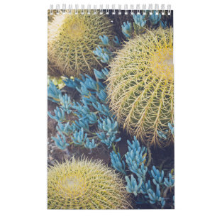 Boho Cactus Garden Kalender