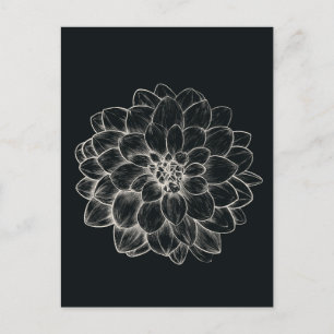 Boho Cream Dahlia Postkarte