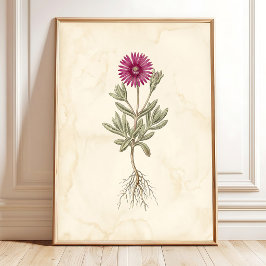 Boho Delosperma Botanische Leinwandkunst Poster