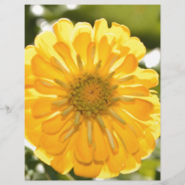 Boho Gelbe Blume (Vorderseite)