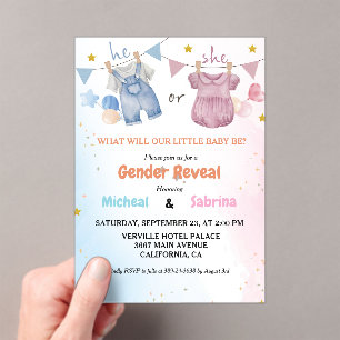 Boho Gender Reveal Vintag Baby Clothesline Acryleinladungen