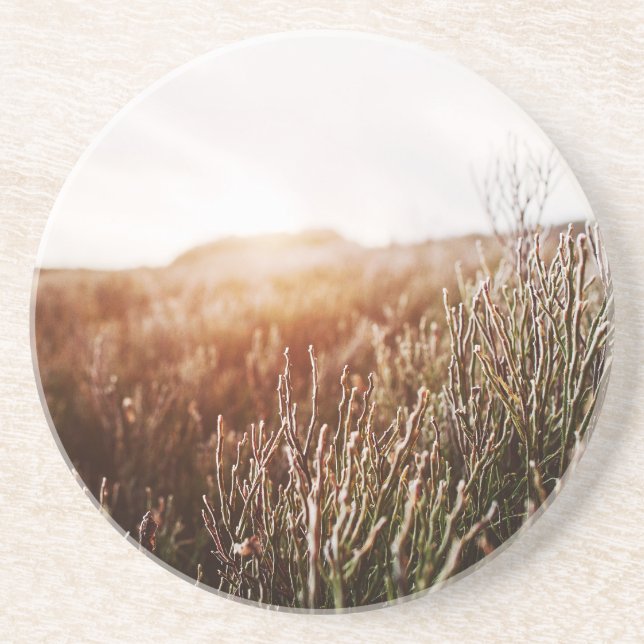 Boho Grass Field Sandstone Untersetzer (Vorne)