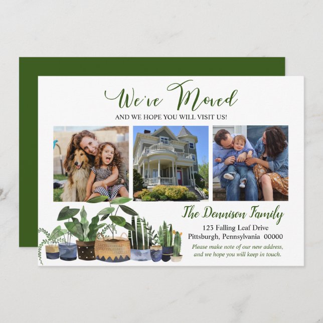 Boho Haushaltspflanzen Wir haben bewegtes Foto Ankündigung (Vorne/Hinten)