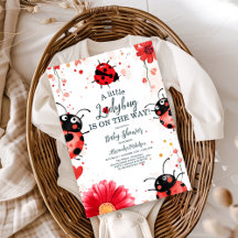 Boho Little Ladybug Babydusche