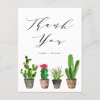 Boho Potted Sukculent und Cactus Wedding Vielen Da