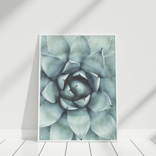 Boho Sage Green Succulate Closeup Poster (Pastel Green Succulent Closeup Poster in white frame on white wooden floor.)