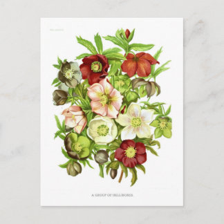 Bohrlöcher Postkarte