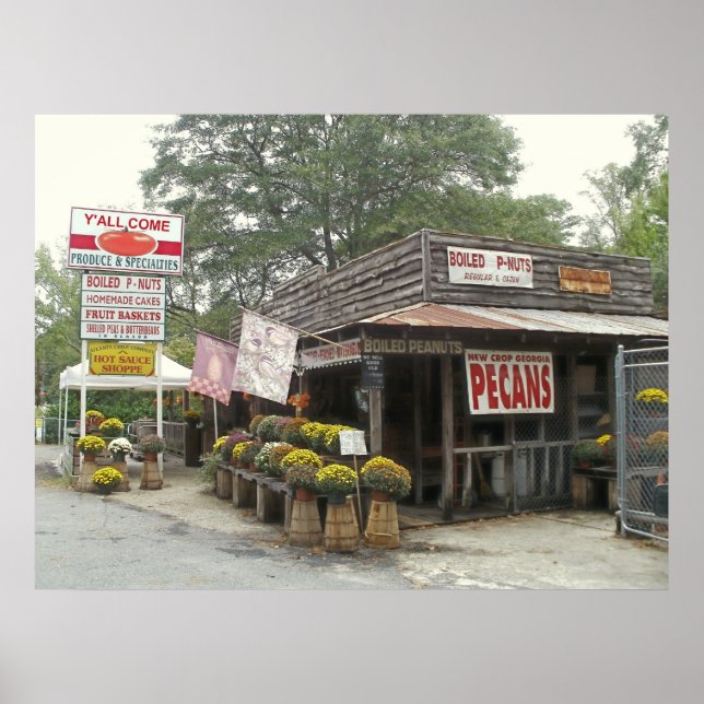 Boiled Peanuts Y'ALL COME Poster (Vorne)