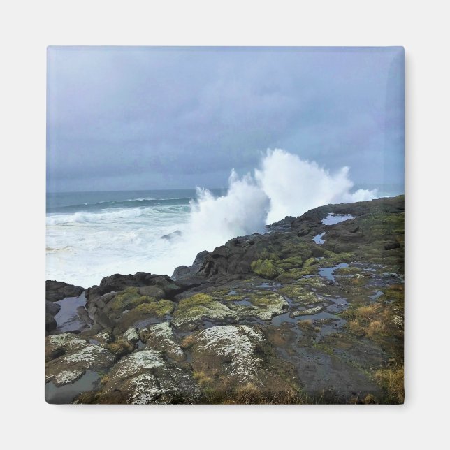 Boiler Bay Staat Wayside, Depoe Bay, Oregon Magnet (Vorne)